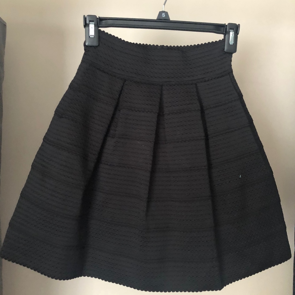 FSR Pleated Flare Skirt